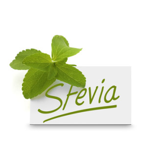 Stevia (Bildquelle: Fotolia)